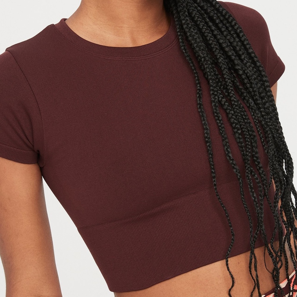 Aerie Brown Cropped T Shirt